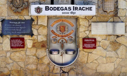 Al buen vino, buen Camino de Santiago